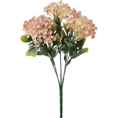 ZELEŇ VIBURNUM RUŽOVÉ 30CM