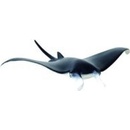 Manta