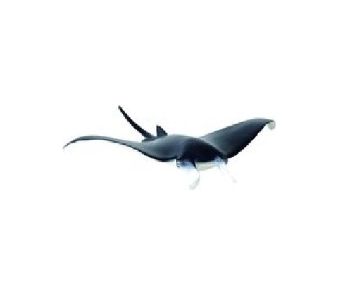 Manta