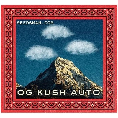 Seedsman OG Kush Auto semena neobsahují THC3 ks