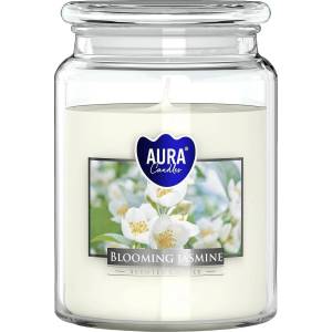 BISPOL Jasmine 500 g