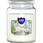 BISPOL Jasmine 500 g