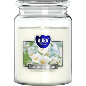 BISPOL Jasmine 500 g