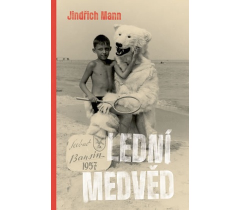 Lední medvěd