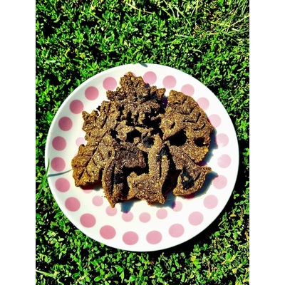 Вълшебната гора " Вълшебната гора" - Бисквити с боровинки, 60гр