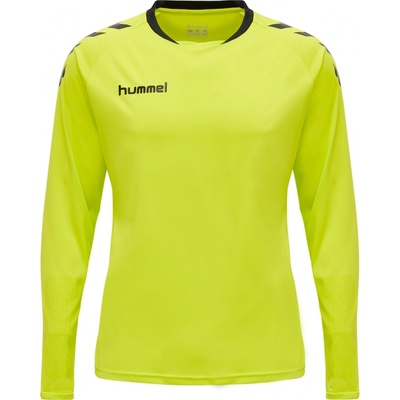 Hummel Dres dlhým rukávom Core kids GK set205281 6102