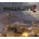 Panzer Corps 2