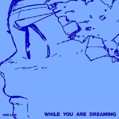 Daniel Shopping s. r. o New Link: While You Are Dreaming - CD (072949)