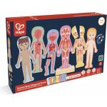 Hape Образователен магнитен пъзел, Hape, човешко тяло, 68 части (H1652)