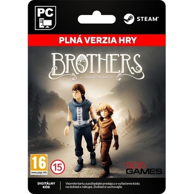 Brothers A Tale of Two Sons