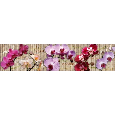 026 Samolepící fototapeta do kuchyně - Orchidej, 260 x 60 cm