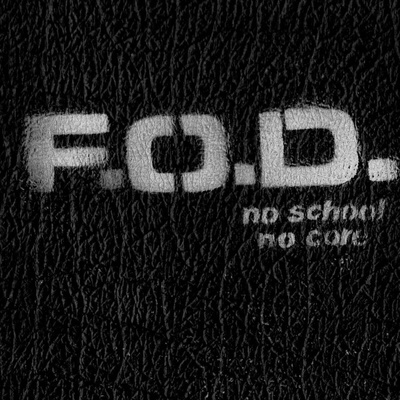 Flag Of Democracy - No School, No Core LP