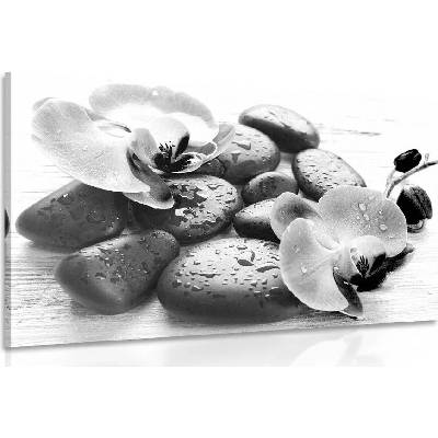 Obraz krásná souhra kamenů a orchideje v černobílém provedení - 40x30