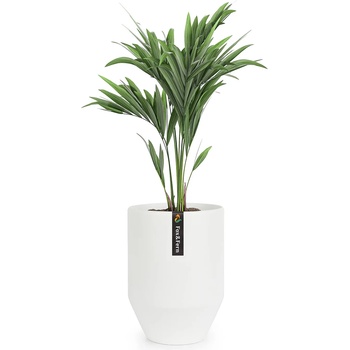 Image 1 of Blumfeldt Almere PP-PODIUM-M-MW