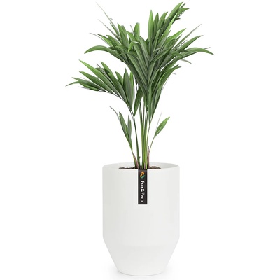 Blumfeldt Almere PP-PODIUM-M-MW