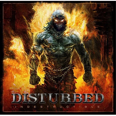 Disturbed - Indestructible (LP) (93624928294)