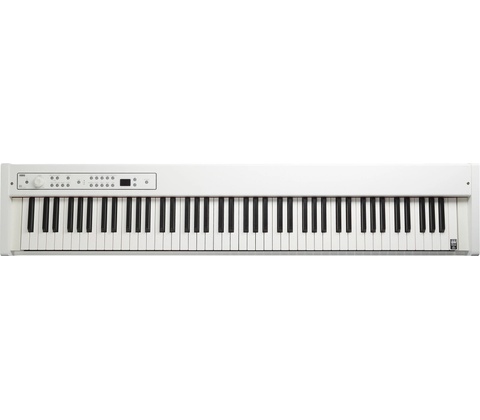Korg D1