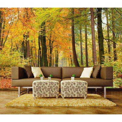 Dimex XL-519 vliesová fototapeta na zeď Autumn forest rozměry 330 x 220 cm