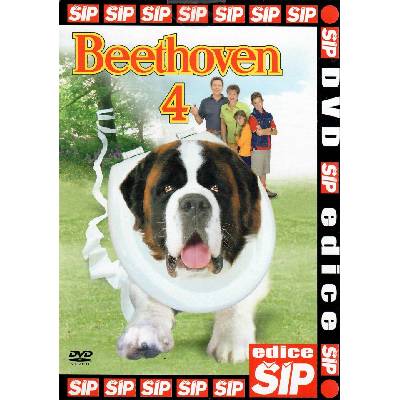 DM discont Бетовен 4 - dvd (035574)