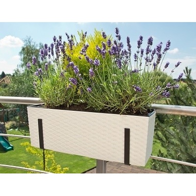 LAMELA Truhlík BEGONIA 560x119x190mm rattan krémový