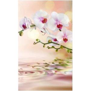 DIMEX ART Флизелинов фототапет бяла орхидея 150 x 250 см