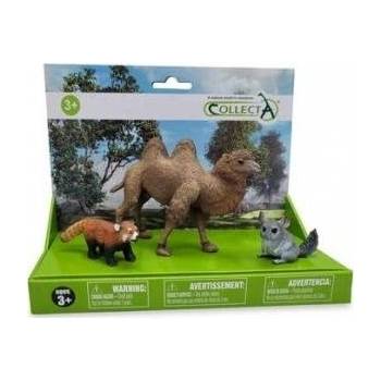 CollectA COLLECTA Figure SET OF 3 WILD ANIMALS IN PACK (88536, 88722, 88807)