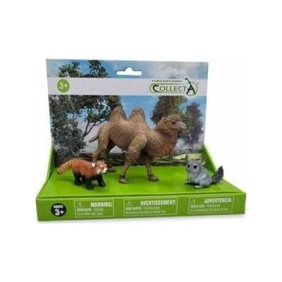 CollectA COLLECTA Figure SET OF 3 WILD ANIMALS IN PACK (88536, 88722, 88807)