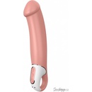 Satisfyer Vibes Master