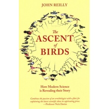 Ascent of Birds