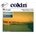 Cokin P125F