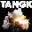 Idles - Tangk (LP) (0720841304111)