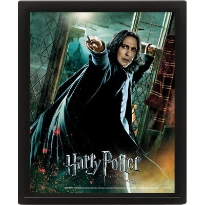 Harry Potter : Snape - 3D Obraz s rámem 3D Obraz (s rámem)