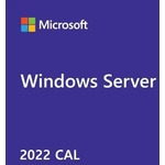 Microsoft Windows Server 2022 CAL LTU (1 User) (P46191-B21)