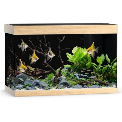 Juwel Rio LED 290 dub 101 x 51 x 66 cm