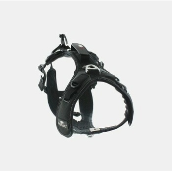I-DOG postroj RAIDLIGHT