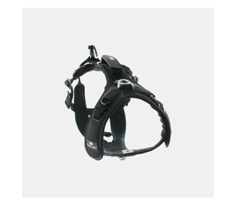 I-DOG postroj RAIDLIGHT