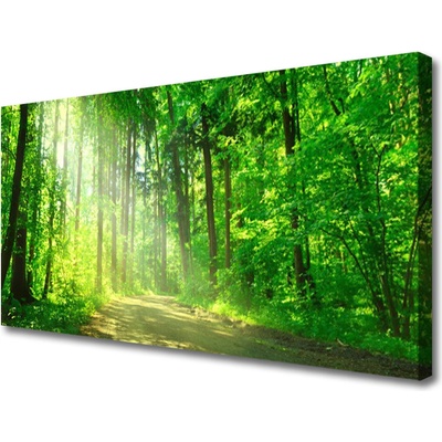 Obraz Canvas Les cestička stromy príroda 100x50 cm