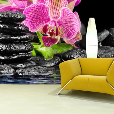 Sablio Tapeta Orchidea na kameňoch, rozmery 208x125 cm