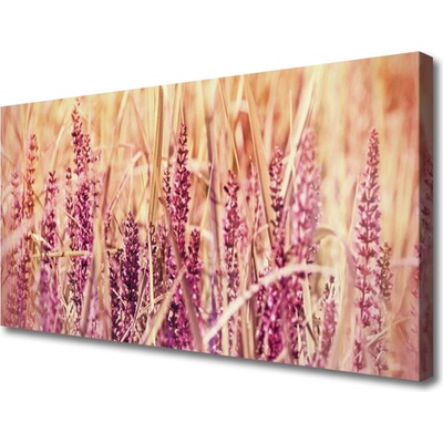 Obraz Canvas Pšenica rastlina príroda 100x50 cm
