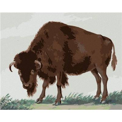 zuty Malování Podle Čísel Bizon I. Van Haastert 80 x 100 Cm Plátno Rám