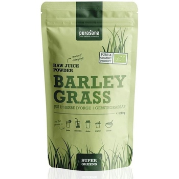 Barley Grass Raw Juice Powder BIO 200 g
