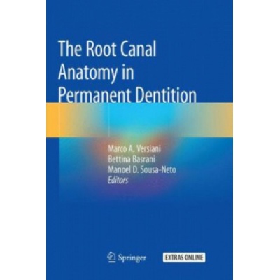 The Root Canal Anatomy in Permanent Dentition
