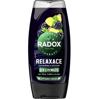 Radox Men Feel Wild Blackberry & Ginger 2v1 sprchový gél 250 ml
