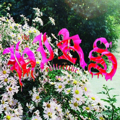 HIRS+ - We're Still Here CLR LP