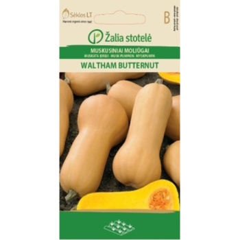 Image 1 of Seklos Тиква Бутернут (мускатна) Waltham Butternut