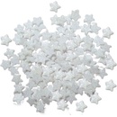 Hviezdičky biele 30 g X1623 B