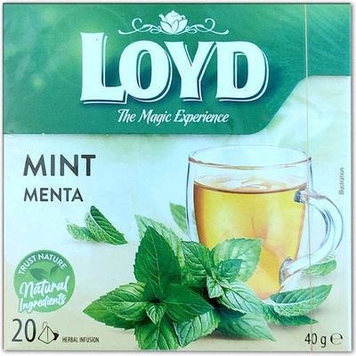 Loyd Pyramid Mint Menta 20 x 2 g