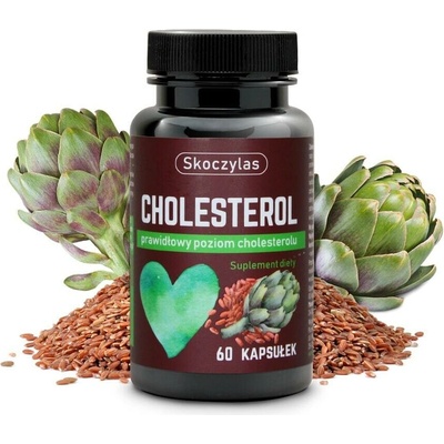Skoczylas cholesterol 60 kapsúl