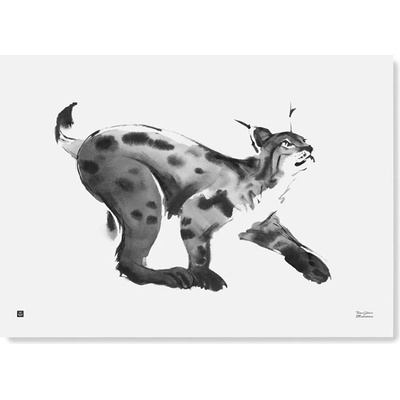 Plagát Lynx 70x50