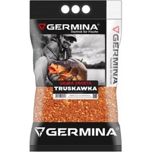 Germina Krmítková Směs 3 kg Jahoda